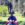 Avatar photo